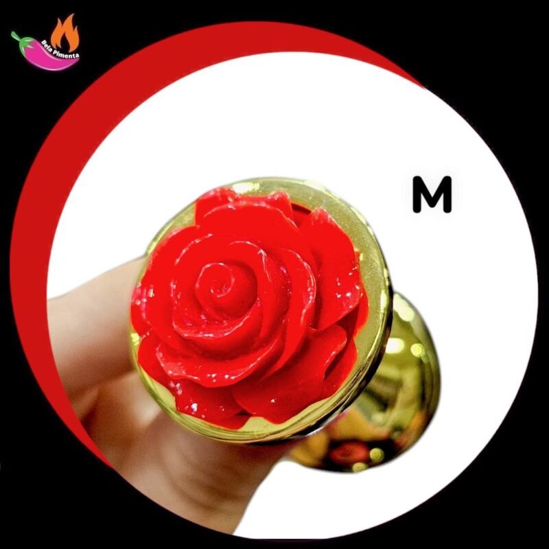 Plug Anal Metal Redondo Flor M Dourado Vermelho